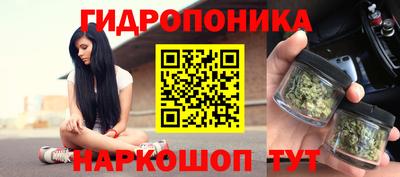 кокс Нарткала