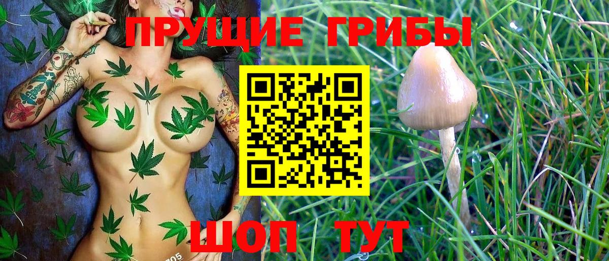 Галлюциногенные грибы мицелий  Вход с VPN  Псилоцибиновые грибы Magic Shrooms  Советск 