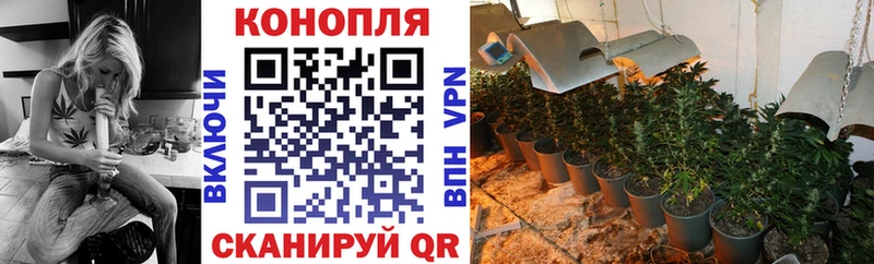 Марихуана SATIVA & INDICA Советск