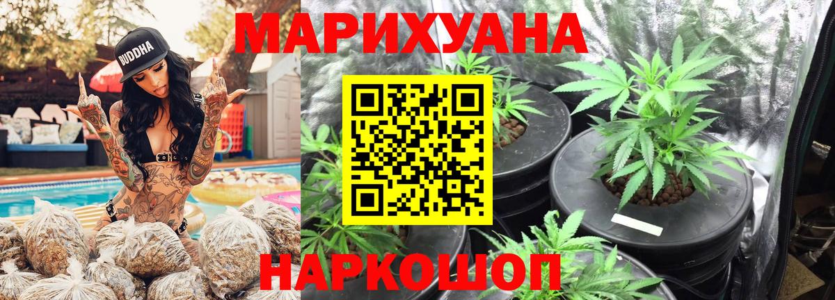 Конопля Amnesia Советск